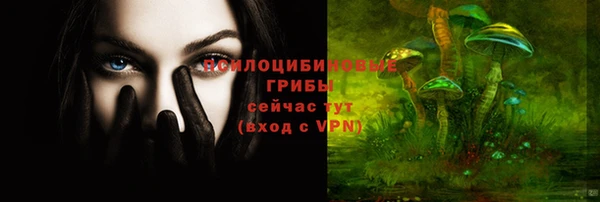 дурь Нефтекумск