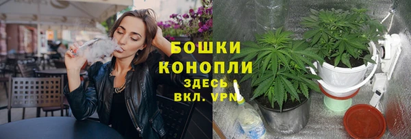гашиш Новозыбков