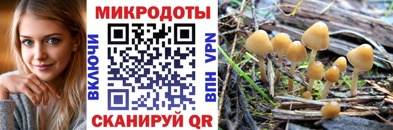 Псилоцибиновые грибы MAGIC MUSHROOMS  цена   Полысаево 
