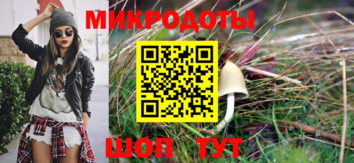Псилоцибиновые грибы Psilocybine cubensis Полысаево