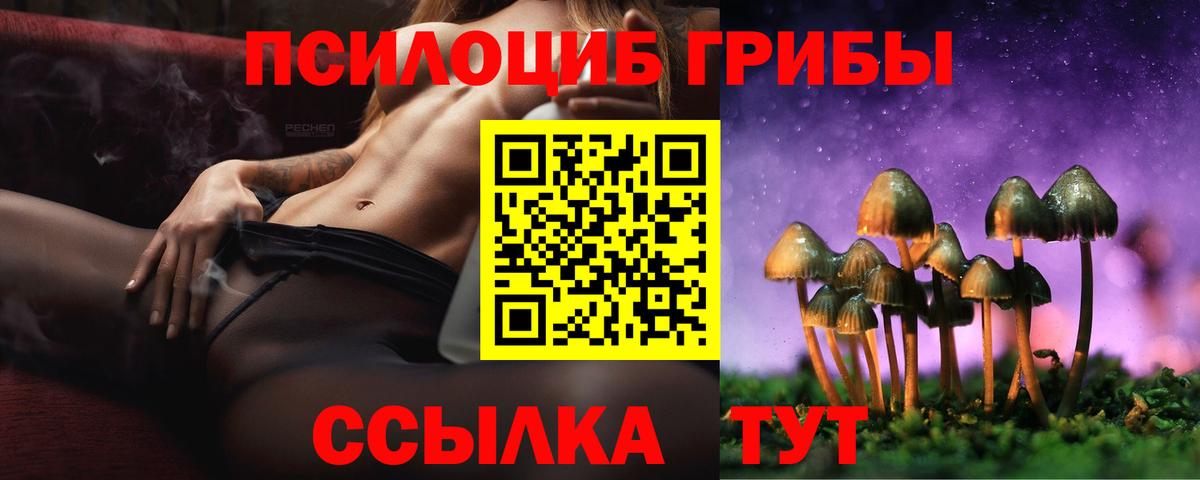 Псилоцибиновые грибы Cubensis  Галлюциногенные грибы Psilocybe  Полысаево  Вход с VPN 